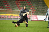 Bruno vom Wolfsstolz