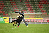 Bruno vom Wolfsstolz