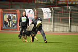 Bruno vom Wolfsstolz