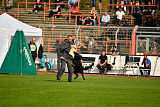 Titus z Kraje Karla IV.