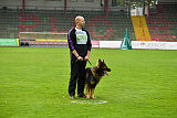 Bagandi vom Spektefeld