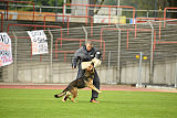 Vlop vom Wolfsgraben