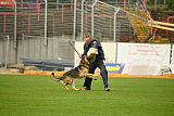 Vlop vom Wolfsgraben