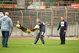 Vlop vom Wolfsgraben