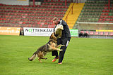 Vlop vom Wolfsgraben