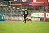 Vlop vom Wolfsgraben