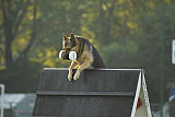Vlop vom Wolfsgraben