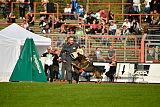 Aric vom Ritterweg