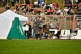 Aric vom Ritterweg