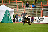 Kirio vom Ortenberg