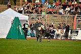 Whisky vom Cap Arkona