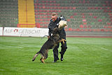 Basko von der Haugshöhe