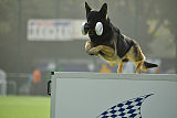 Eron von der Mohnwiese