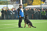 Eron von der Mohnwiese