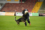 Connor Ge'Cloed von der schwarzen Irma
