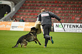 Connor Ge'Cloed von der schwarzen Irma