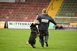 Connor Ge'Cloed von der schwarzen Irma