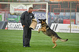 Horax vom Wolfsheim