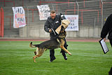 Horax vom Wolfsheim