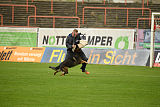 Chicco vom Weinbergblick