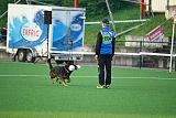 Chicco vom Weinbergblick