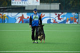 Chicco vom Weinbergblick