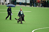 Jeff vom Weißeritztal