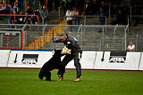 Max vom Mochauer Land