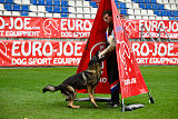 Euro II do Sadonana