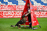 Euro II do Sadonana