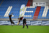 Elk von Daechsel