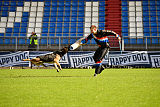 Alex z Kristova
