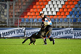 Onex de Querien-Can