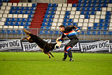 Perro von der schwarzen Natter
