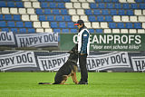 Karus of Tino Kennel