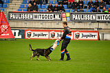 Xanuk vom grauen Star