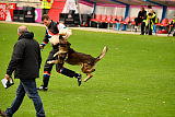 Lenox vom Drumlin Wolf