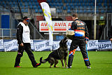 Kliff vom Floyd Haus