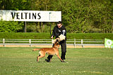 Jim vom roten Merlin