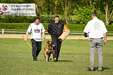 Jim vom roten Merlin
