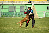 Al Campo Graf Czech