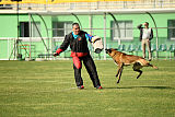 Al Campo Graf Czech