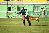 Al Campo Graf Czech