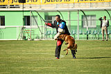 Al Campo Graf Czech