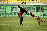 Daneskjold Xivan
