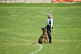 Parendo Vinces Captain Koons