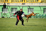 Dragon Veranis K-9 Dog Center