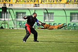 Dragon Veranis K-9 Dog Center