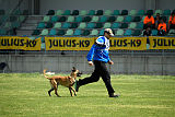 Constantin Anoubis Reunion