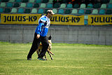 Constantin Anoubis Reunion